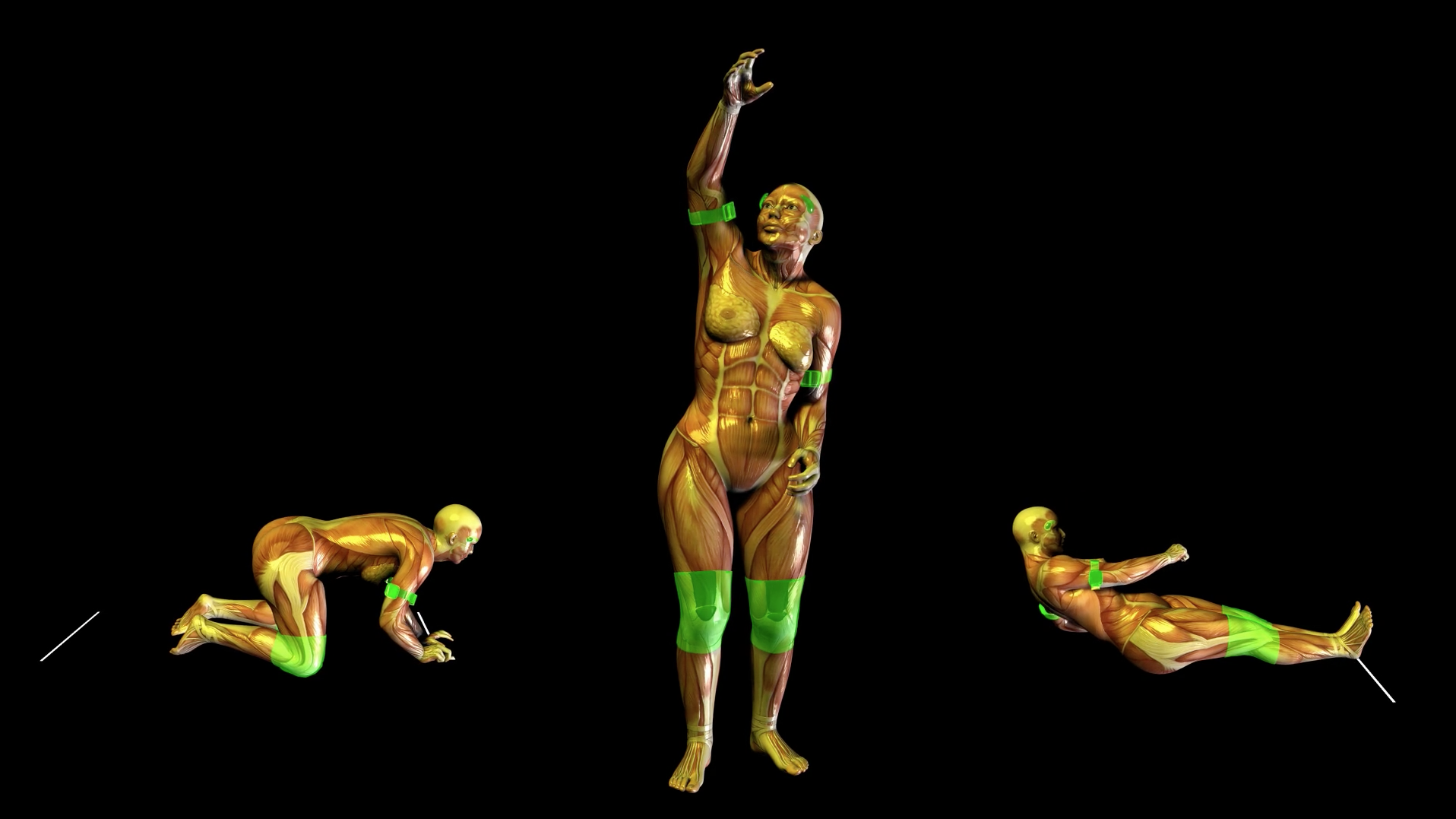 © ORLAN - La liberté en écorchée - 2021
