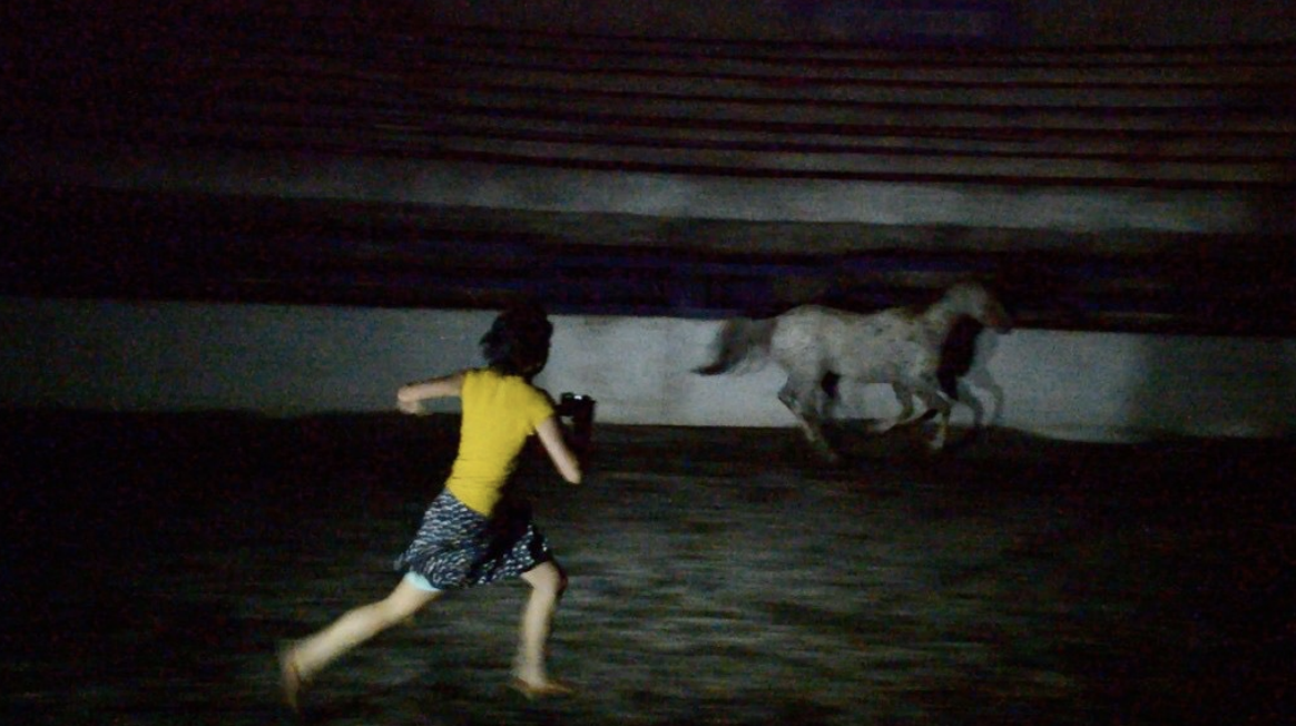 @Yanieb Fabre, CHEVAL/NAHUAL, 2013-2014