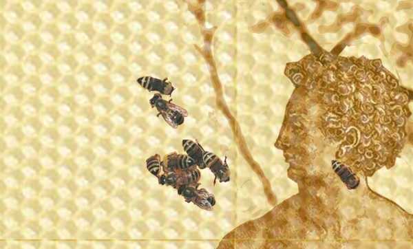 ©BeeXel d’après Dürer (extrait), 2018, Lavis au jus de citron sur chiffon lin, cire gaufrée, abeilles vivantes, divers matériaux