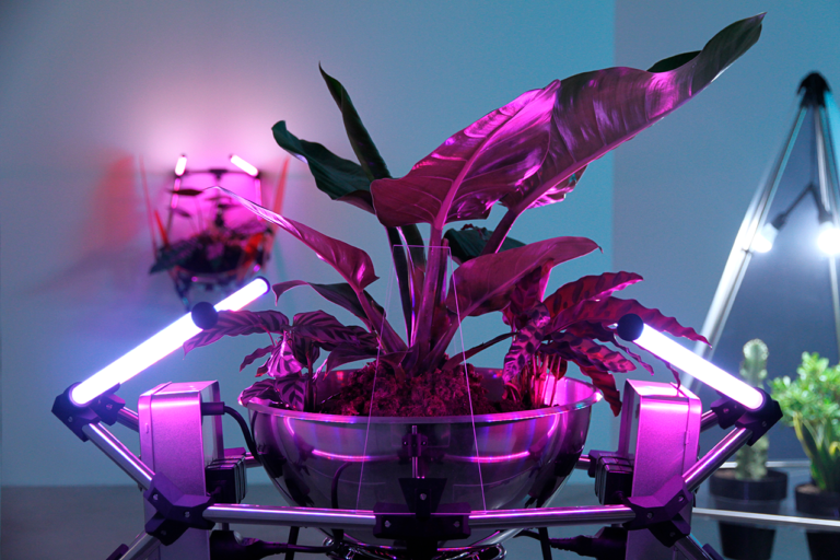 © Donatien Aubert, Les jardins Cybernétiques, 2020