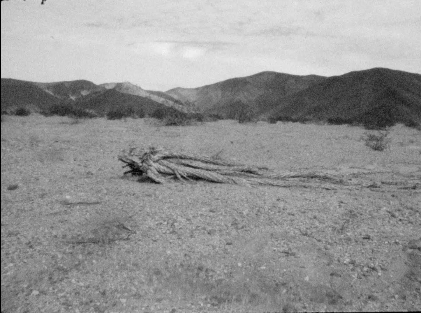 El Chinero un cerro fantasma, 2022 © Bani Khoshnoudi / Pensée Sauvage Films 2
