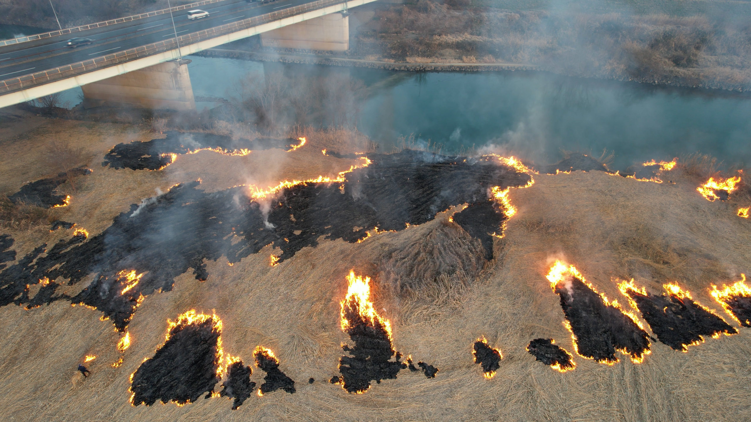 The Stream XII-II, 2022 © Hiroya Sakurai