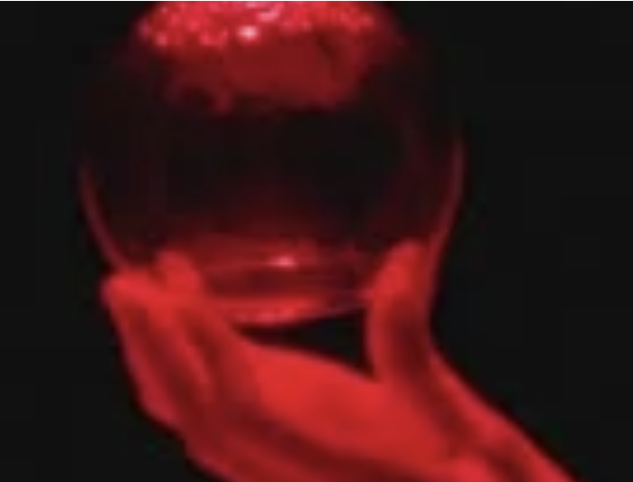 © Julia Borderie & Eloïse Le Gallo