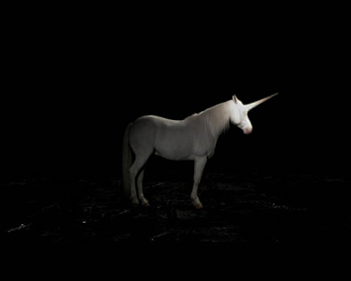 @ Maider Fortune, Licorne